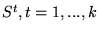 $ S^t, t=1,...,k$